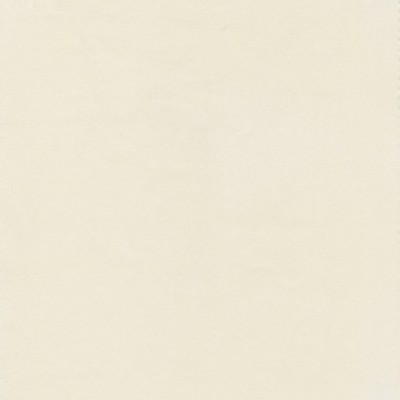 Stout BEECHWOOD 25 BONE