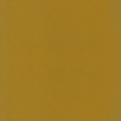 Stout BEECHWOOD 37 GOLDENROD