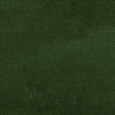 Stout BELGIUM HUNTER