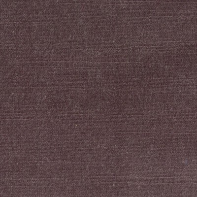 Stout BELGIUM 5 PURPLE