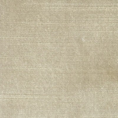 Stout BELGIUM PUMICE