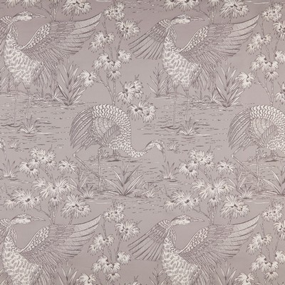 Stout BORNEO 2 MUSHROOM