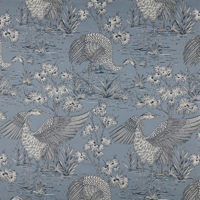 Stout BORNEO 4 HARBOR