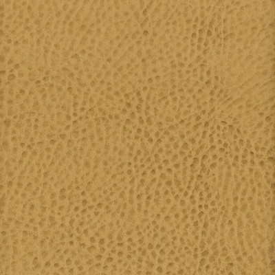 Stout BOSCOBEL MAPLE