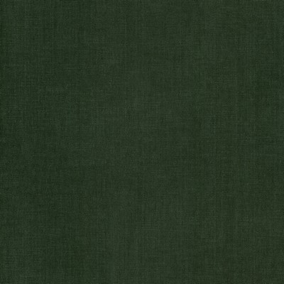 Stout BOUNTIFUL 28 JUNGLE