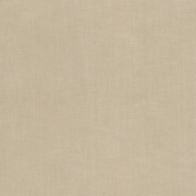 Stout BOUNTIFUL 31 PUMICE