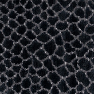 Stout BRIER 1 LAKE LAKE