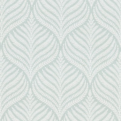 Stout CADENCE 1 BREEZE