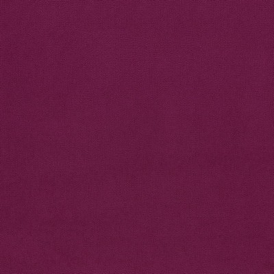 Stout CADMIUM FUCHSIA