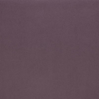 Stout CADMIUM NUTMEG