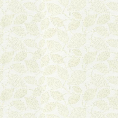 Stout CAIRO 2 BAMBOO