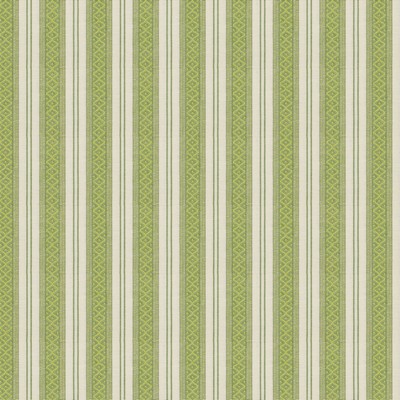 Stout CAMELOT 2 SEEDLING