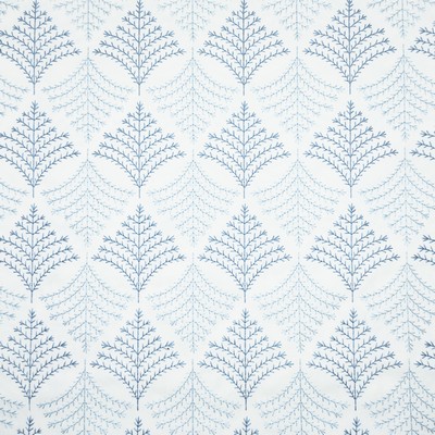 Stout CAPYBARA 1 AZURE