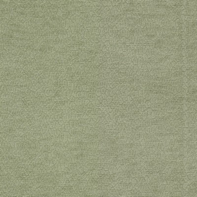 Stout CAVALIER 1 BALSAM