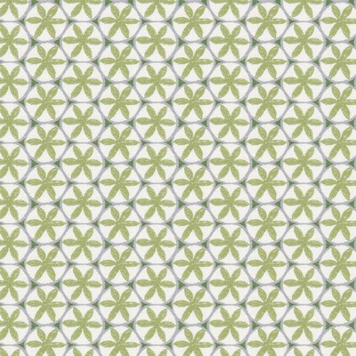 Stout CEILING 1 APPLE