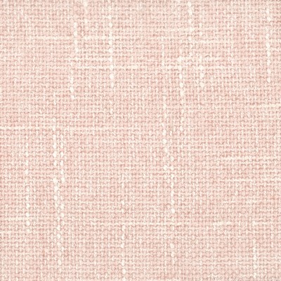 Stout CERTIFICATE PINK