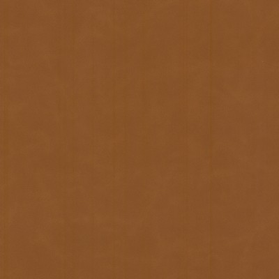 Stout CERVANTES 2 PECAN