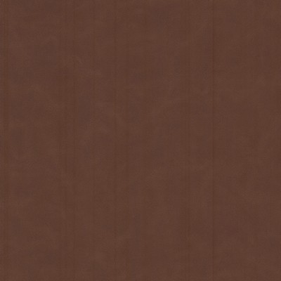 Stout CERVANTES 3 RAISIN