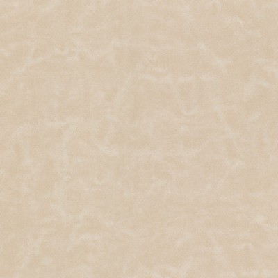 Stout CERVANTES 8 PEARL