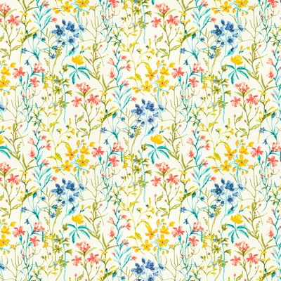 Stout CHIANTI 1 SPRINGTIME