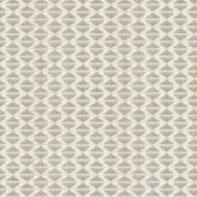 Stout CHILI 1 CHAMPAGNE