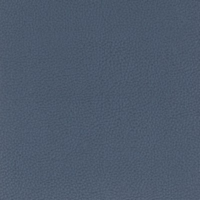 Stout CLASSIC BLUEBERRY