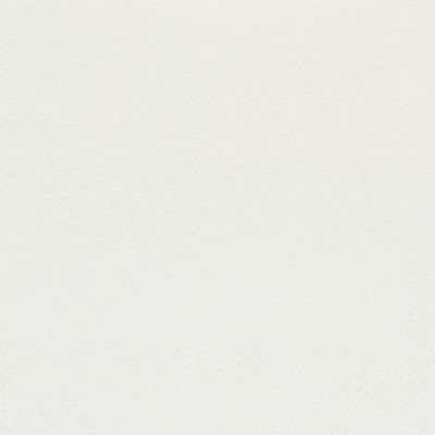 Stout CLASSIC NATURAL