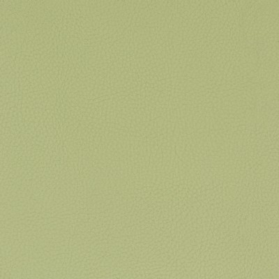 Stout CLASSIC PISTACHIO