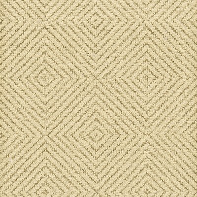 Stout CLERICAL MUSHROOM