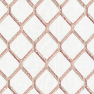 Stout CLEVELAND 1 PRIMROSE