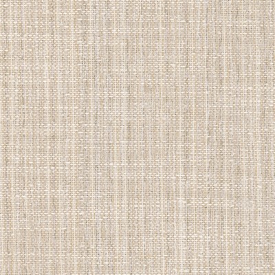 Stout CLONE 1 CHAMPAGNE