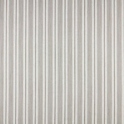 Stout COHORT 1 DRIFTWOOD