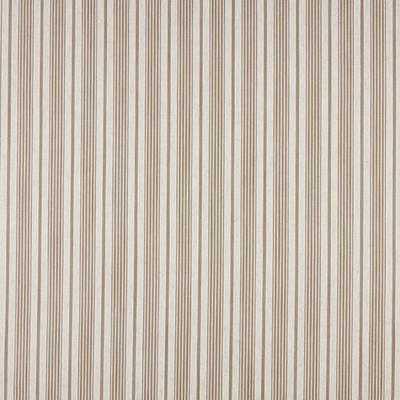 Stout COHORT 2 MUSHROOM