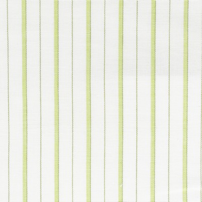 Stout COMANCHE 1 CLOVER