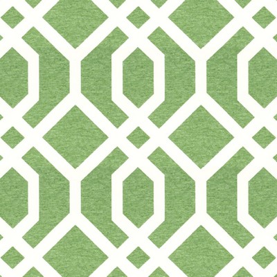 Stout COMFORT SEEDLING