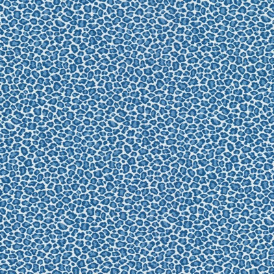 Stout COPYCAT 1 BLUEBIRD