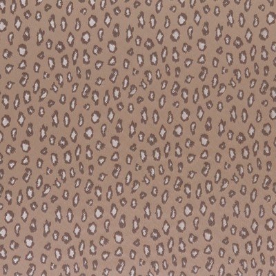 Stout CORINTHEA NUTMEG