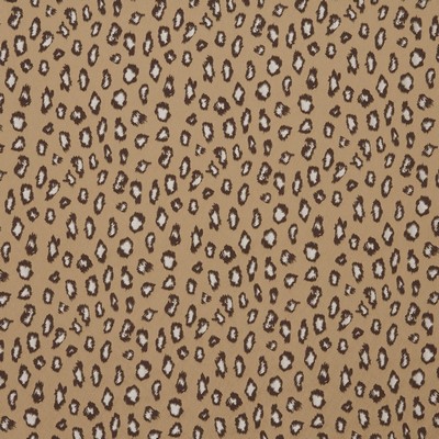 Stout CORINTHEA ANTIQUE