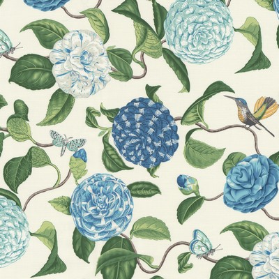 Stout COSSET ROBINSEGG