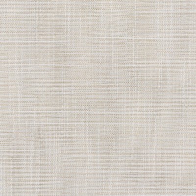 Stout CRATER 1 OYSTER