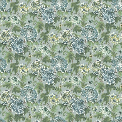 Stout CYPRESS 1 AQUA