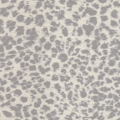 Stout DALMATION SMOKE