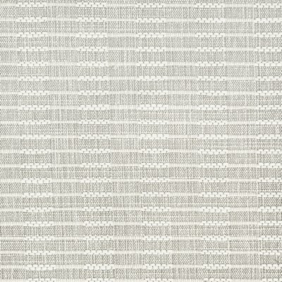 Stout DAYDREAM CARBON