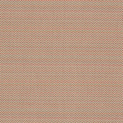 Stout DEALER 1 TUTTIFRUTTI