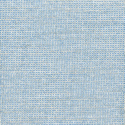 Stout DERBY BLUEBIRD