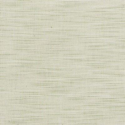 Stout DISBELIEVE 3 PEAR