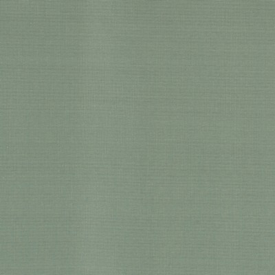 Stout DUPIONI DEWKIST