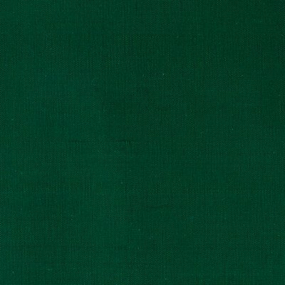 Stout DUPIONI EVERGREEN