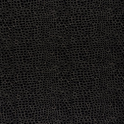 Stout DURHAM OBSIDIAN