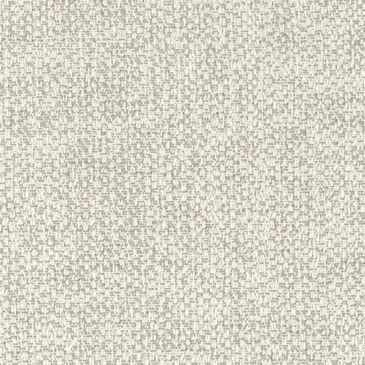 Stout DWYER 2 MUSHROOM